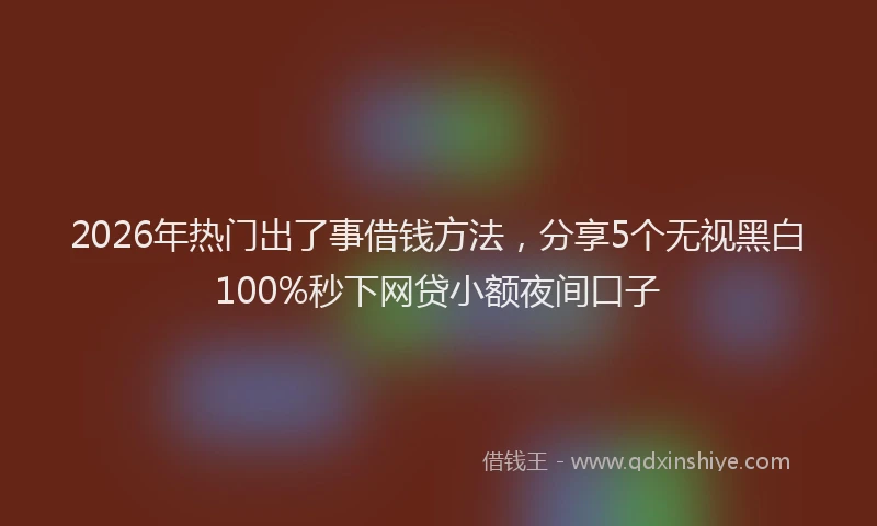 2026年热门出了事借钱方法，分享5个无视黑白100%秒下网贷小额夜间口子