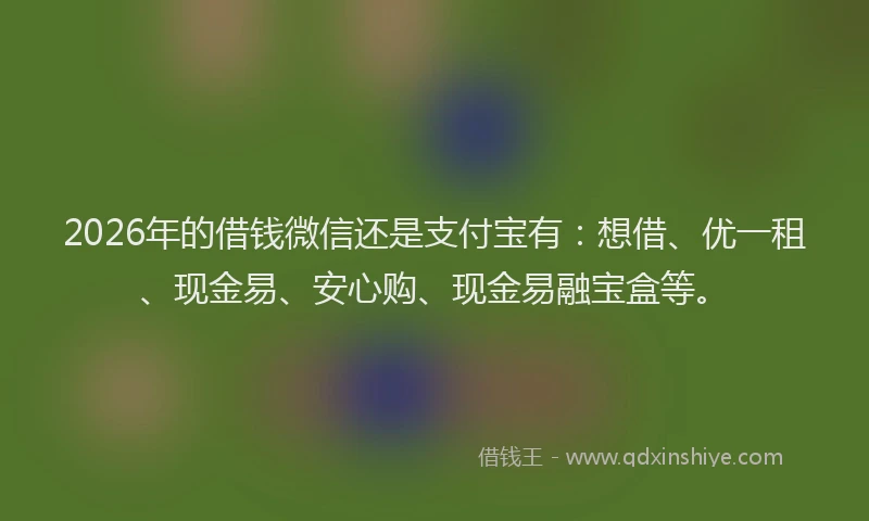 2026年的借钱微信还是支付宝有：想借、优一租、现金易、安心购、现金易融宝盒等。