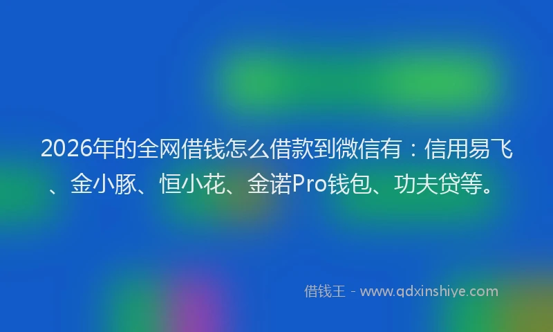 2026年的全网借钱怎么借款到微信有：信用易飞、金小豚、恒小花、金诺Pro钱包、功夫贷等。