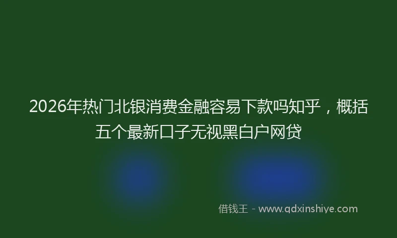 2026年热门北银消费金融容易下款吗知乎，概括五个最新口子无视黑白户网贷