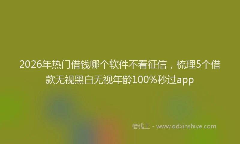 2026年热门借钱哪个软件不看征信，梳理5个借款无视黑白无视年龄100%秒过app