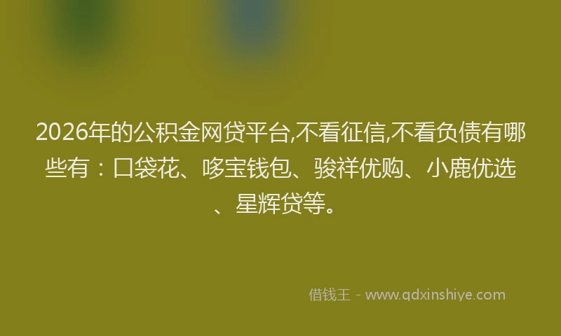 2026年的公积金网贷平台,不看征信,不看负债有哪些有：口袋花、哆宝钱包、骏祥优购、小鹿优选、星辉贷等。