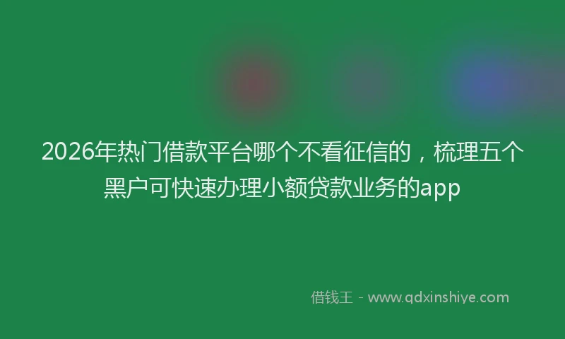 2026年热门借款平台哪个不看征信的，梳理五个黑户可快速办理小额贷款业务的app