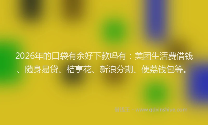 2026年的口袋有余好下款吗有：美团生活费借钱、随身易贷、桔享花、新浪分期、便荔钱包等。