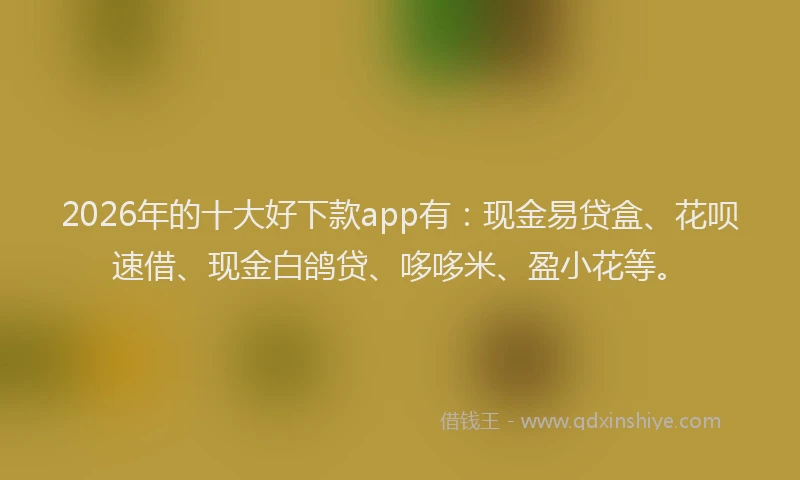 2026年的十大好下款app有：现金易贷盒、花呗速借、现金白鸽贷、哆哆米、盈小花等。