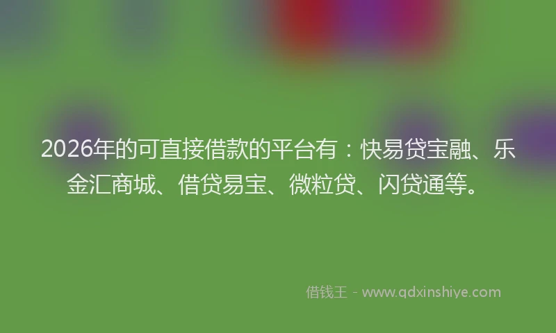 2026年的可直接借款的平台有：快易贷宝融、乐金汇商城、借贷易宝、微粒贷、闪贷通等。