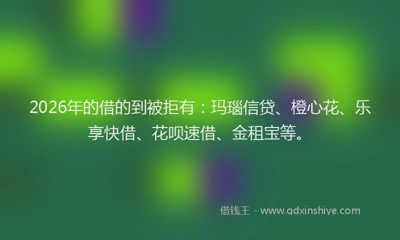 2026年的借的到被拒有：玛瑙信贷、橙心花、乐享快借、花呗速借、金租宝等。
