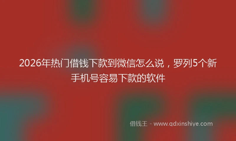 2026年热门借钱下款到微信怎么说，罗列5个新手机号容易下款的软件