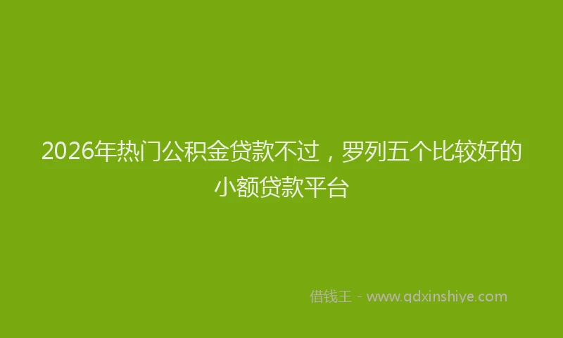2026年热门公积金贷款不过，罗列五个比较好的小额贷款平台