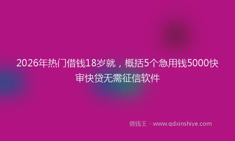 2026年热门借钱18岁就，概括5个急用钱5000快审快贷无需征信软件