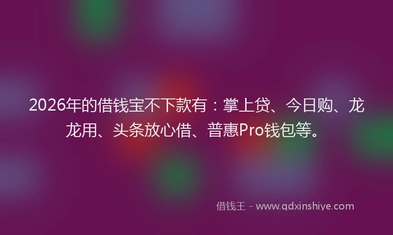 2026年的借钱宝不下款有：掌上贷、今日购、龙龙用、头条放心借、普惠Pro钱包等。