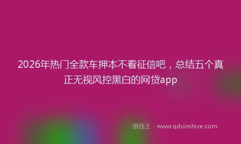 2026年热门全款车押本不看征信吧，总结五个真正无视风控黑白的网贷app
