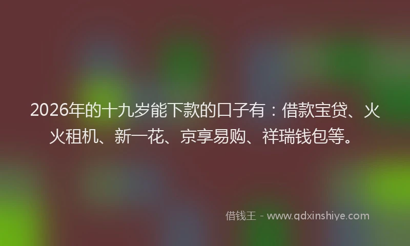 2026年的十九岁能下款的口子有：借款宝贷、火火租机、新一花、京享易购、祥瑞钱包等。