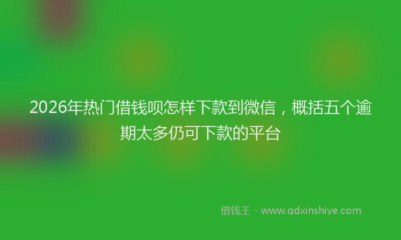 2026年热门借钱呗怎样下款到微信，概括五个逾期太多仍可下款的平台