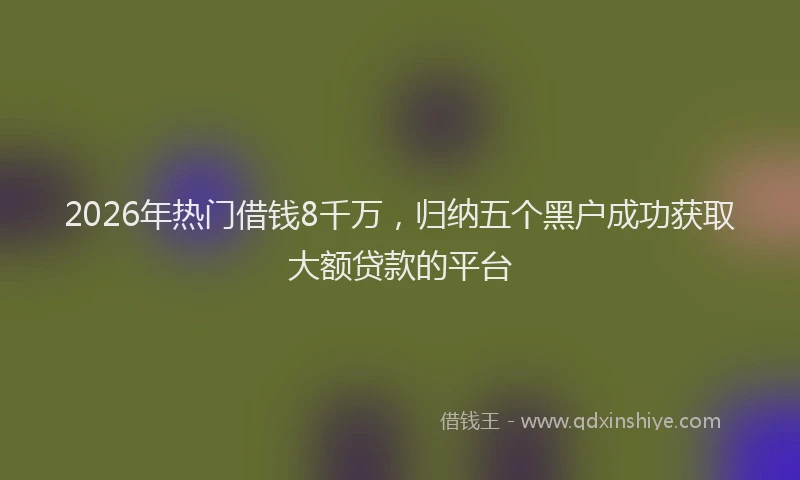 2026年热门借钱8千万，归纳五个黑户成功获取大额贷款的平台
