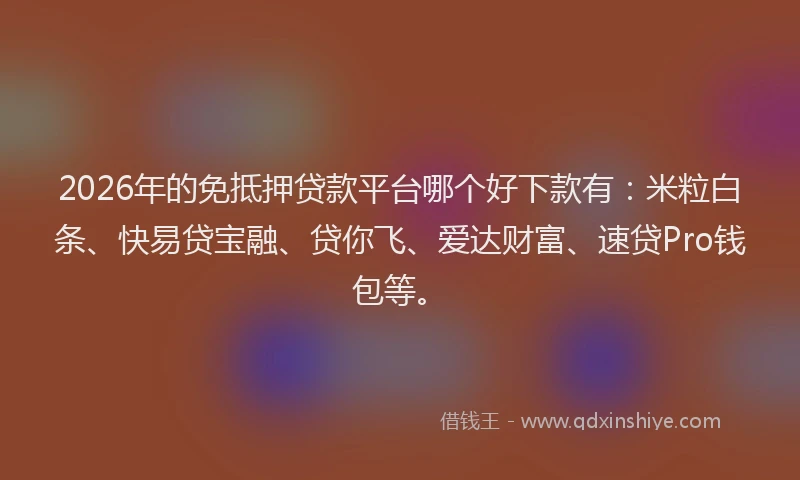 2026年的免抵押贷款平台哪个好下款有：米粒白条、快易贷宝融、贷你飞、爱达财富、速贷Pro钱包等。
