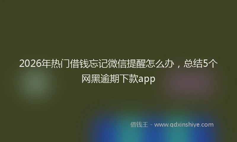 2026年热门借钱忘记微信提醒怎么办，总结5个网黑逾期下款app