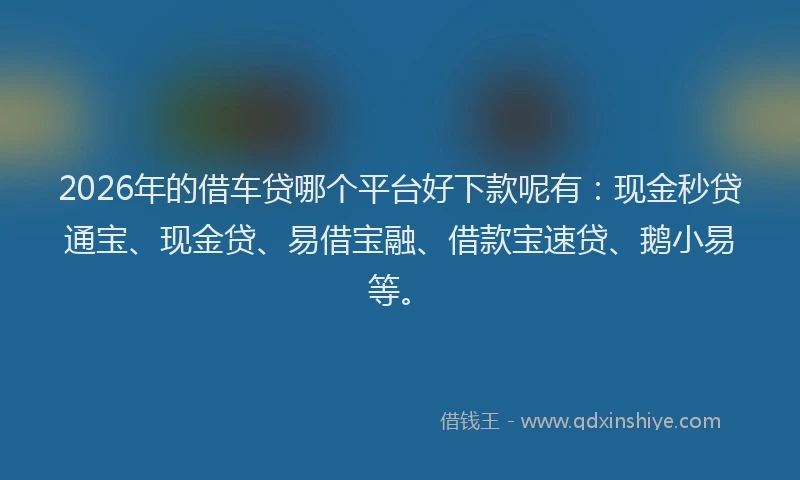 2026年的借车贷哪个平台好下款呢有：现金秒贷通宝、现金贷、易借宝融、借款宝速贷、鹅小易等。