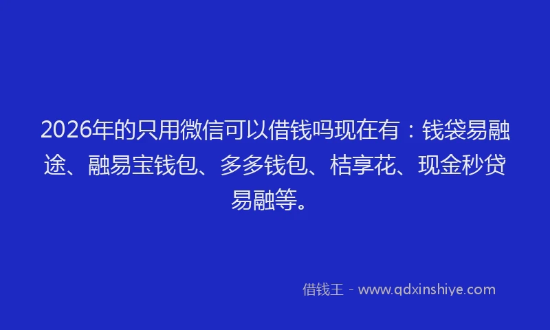2026年的只用微信可以借钱吗现在有：钱袋易融途、融易宝钱包、多多钱包、桔享花、现金秒贷易融等。
