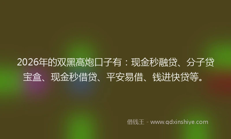 2026年的双黑高炮口子有：现金秒融贷、分子贷宝盒、现金秒借贷、平安易借、钱进快贷等。