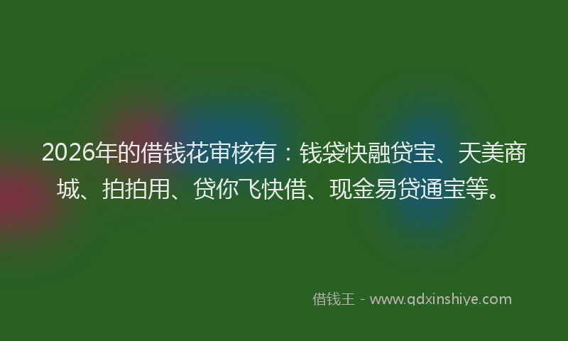 2026年的借钱花审核有：钱袋快融贷宝、天美商城、拍拍用、贷你飞快借、现金易贷通宝等。