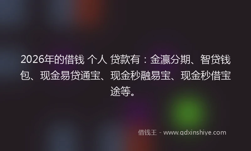 2026年的借钱 个人 贷款有：金瀛分期、智贷钱包、现金易贷通宝、现金秒融易宝、现金秒借宝途等。