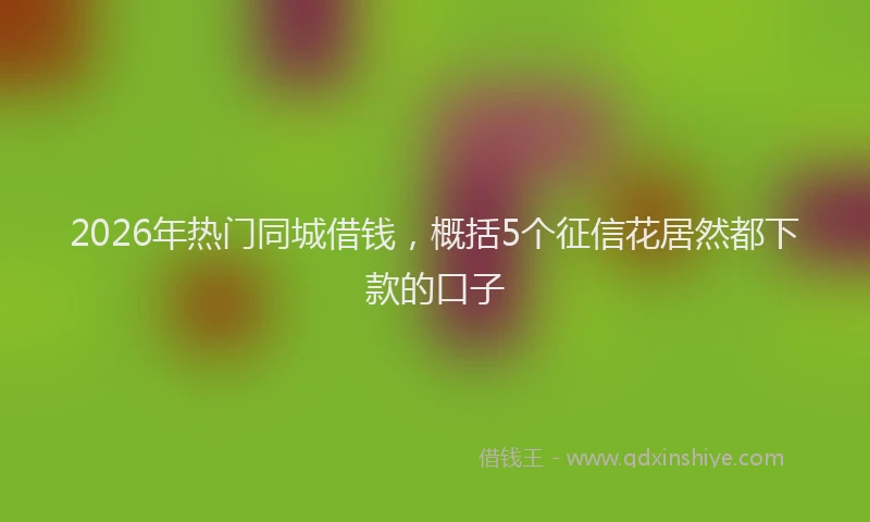 2026年热门同城借钱，概括5个征信花居然都下款的口子