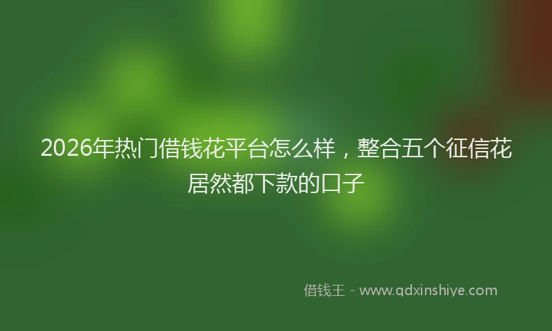 2026年热门借钱花平台怎么样，整合五个征信花居然都下款的口子