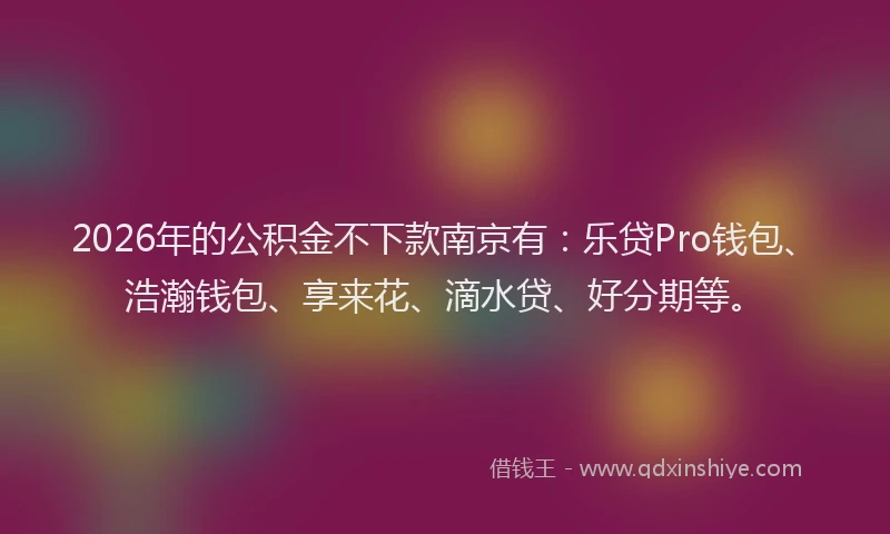 2026年的公积金不下款南京有：乐贷Pro钱包、浩瀚钱包、享来花、滴水贷、好分期等。