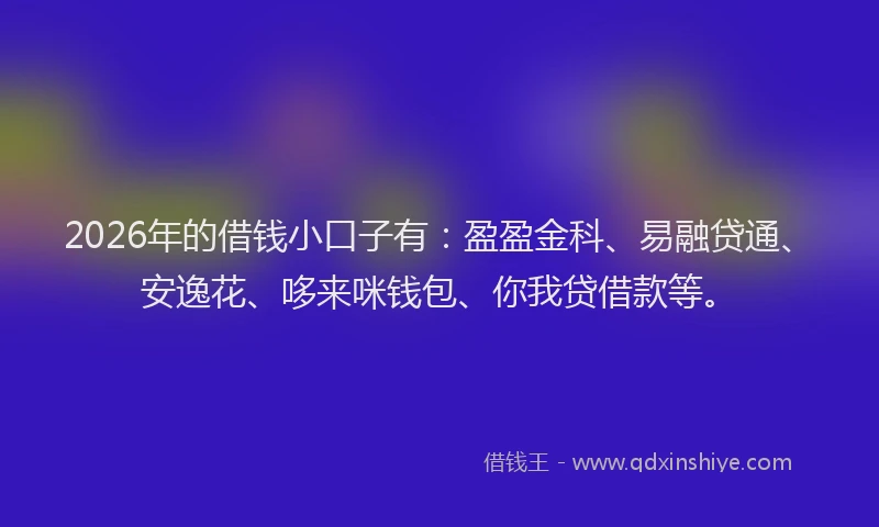 2026年的借钱小口子有：盈盈金科、易融贷通、安逸花、哆来咪钱包、你我贷借款等。