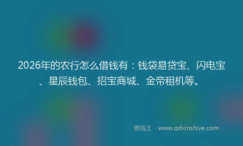 2026年的农行怎么借钱有：钱袋易贷宝、闪电宝、星辰钱包、招宝商城、金帝租机等。