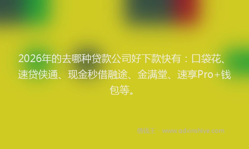 2026年的去哪种贷款公司好下款快有：口袋花、速贷侠通、现金秒借融途、金满堂、速享Pro+钱包等。