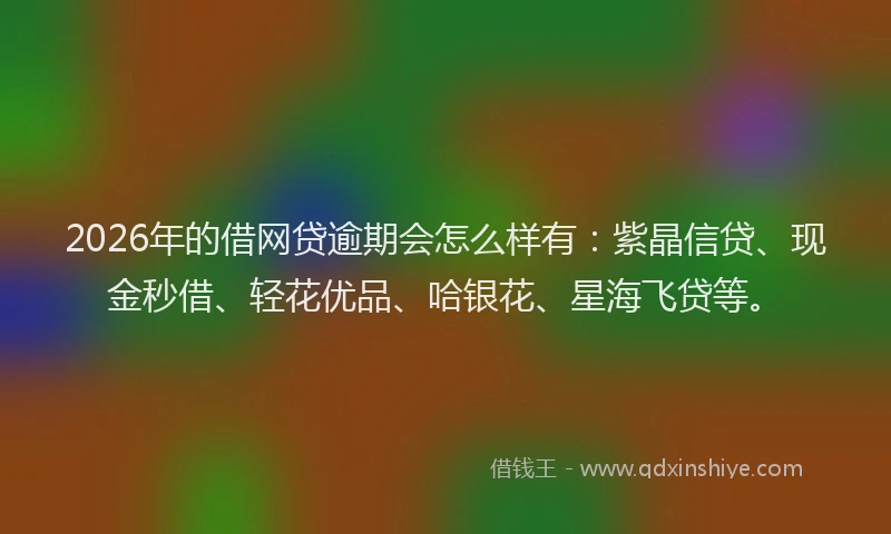 2026年的借网贷逾期会怎么样有：紫晶信贷、现金秒借、轻花优品、哈银花、星海飞贷等。