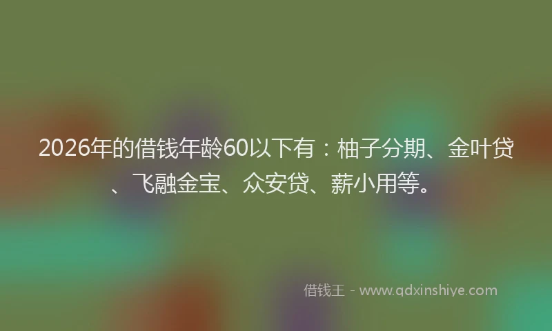 2026年的借钱年龄60以下有：柚子分期、金叶贷、飞融金宝、众安贷、薪小用等。