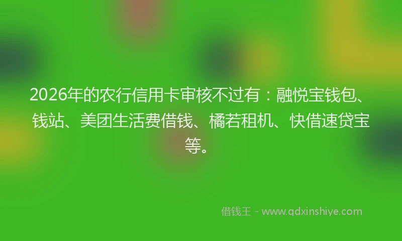 2026年的农行信用卡审核不过有：融悦宝钱包、钱站、美团生活费借钱、橘若租机、快借速贷宝等。