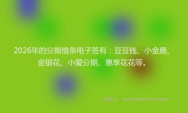 2026年的分期借条电子签有：豆豆钱、小金鹿、金银花、小爱分期、惠享花花等。