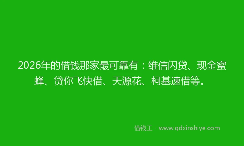 2026年的借钱那家最可靠有：维信闪贷、现金蜜蜂、贷你飞快借、天源花、柯基速借等。