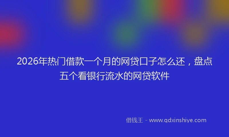 2026年热门借款一个月的网贷口子怎么还，盘点五个看银行流水的网贷软件