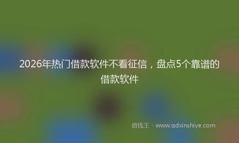 2026年热门借款软件不看征信，盘点5个靠谱的借款软件