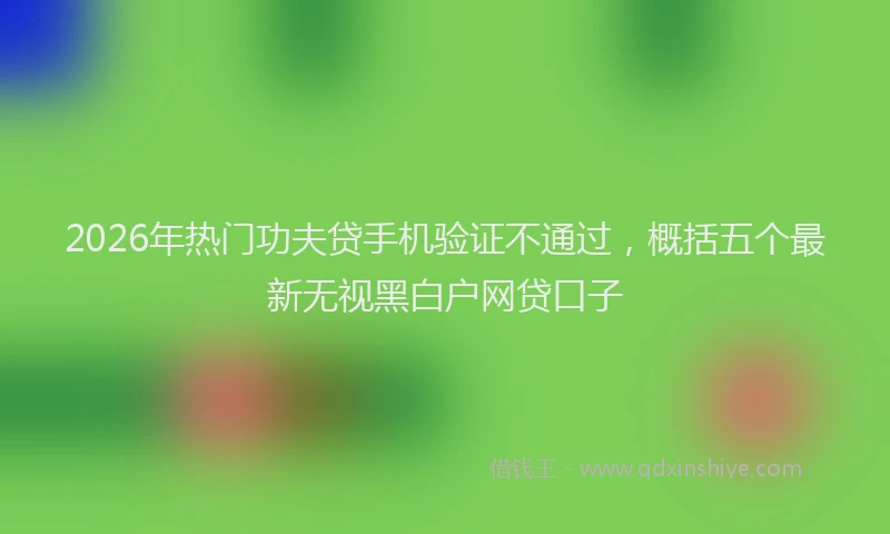 2026年热门功夫贷手机验证不通过，概括五个最新无视黑白户网贷口子