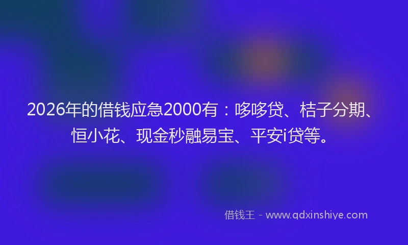 2026年的借钱应急2000有：哆哆贷、桔子分期、恒小花、现金秒融易宝、平安i贷等。