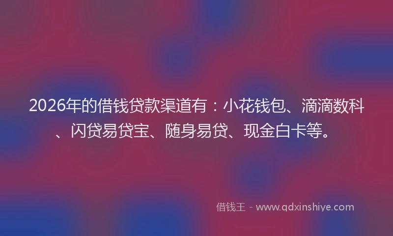 2026年的借钱贷款渠道有：小花钱包、滴滴数科、闪贷易贷宝、随身易贷、现金白卡等。