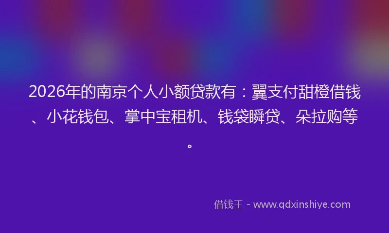 2026年的南京个人小额贷款有：翼支付甜橙借钱、小花钱包、掌中宝租机、钱袋瞬贷、朵拉购等。