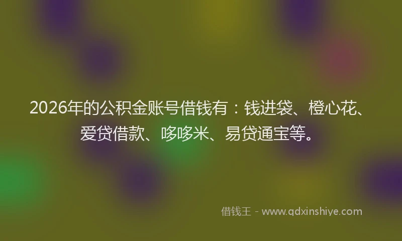2026年的公积金账号借钱有：钱进袋、橙心花、爱贷借款、哆哆米、易贷通宝等。