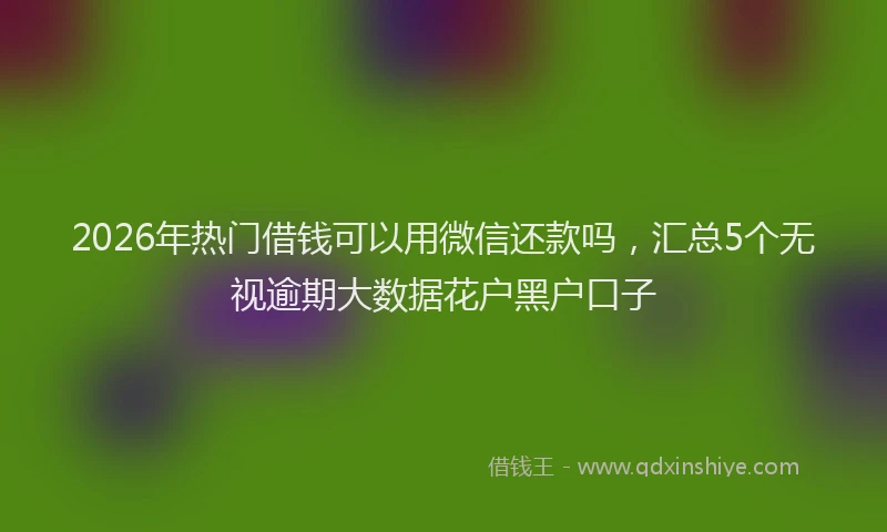 2026年热门借钱可以用微信还款吗，汇总5个无视逾期大数据花户黑户口子