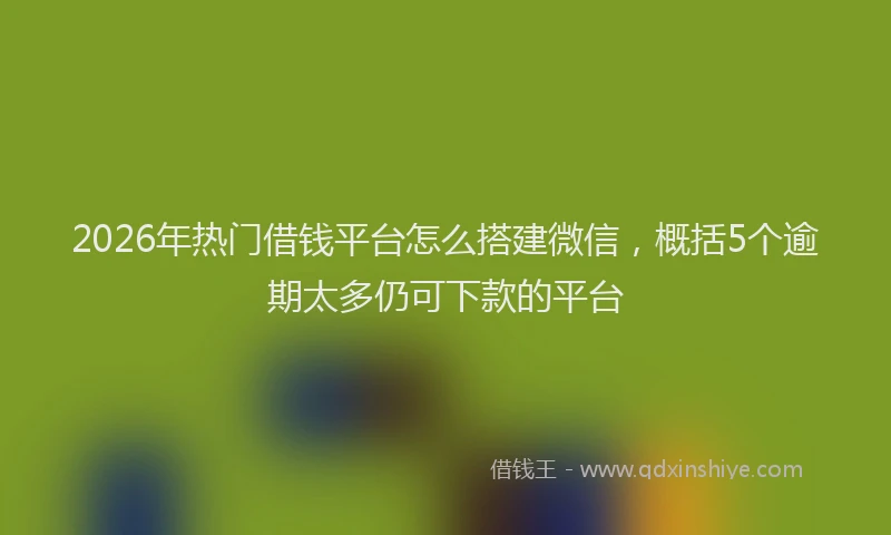 2026年热门借钱平台怎么搭建微信，概括5个逾期太多仍可下款的平台