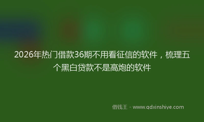 2026年热门借款36期不用看征信的软件，梳理五个黑白贷款不是高炮的软件