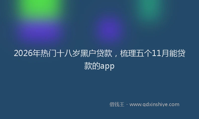 2026年热门十八岁黑户贷款，梳理五个11月能贷款的app