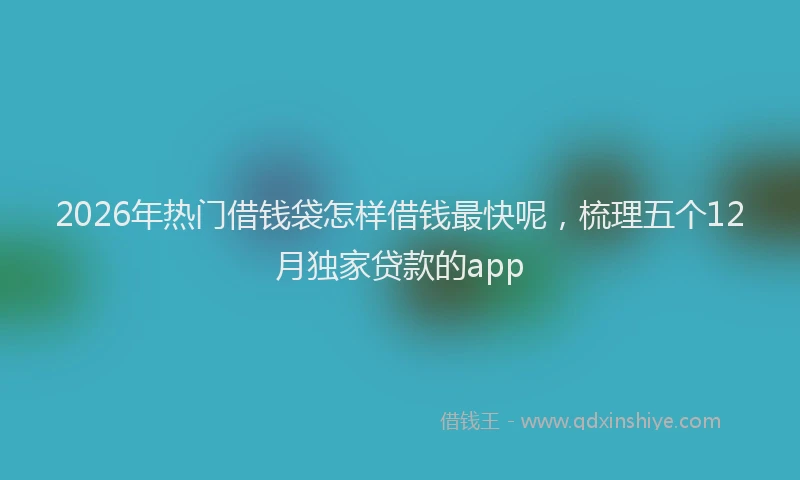 2026年热门借钱袋怎样借钱最快呢，梳理五个12月独家贷款的app