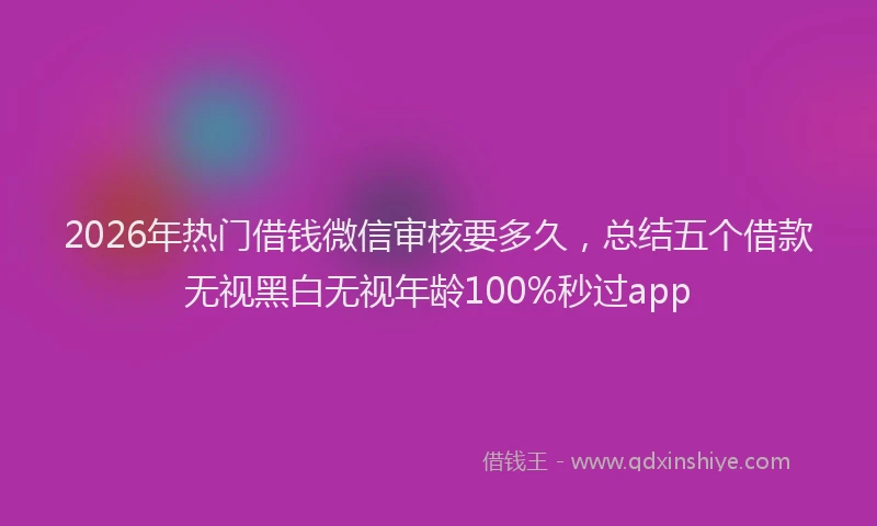 2026年热门借钱微信审核要多久，总结五个借款无视黑白无视年龄100%秒过app